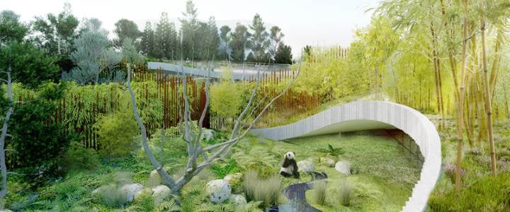 Det nye panda-anlæg i Zoologisk Have har Bjarke Ingels Group som arkitekt